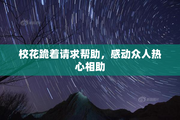 校花跪着请求帮助，感动众人热心相助