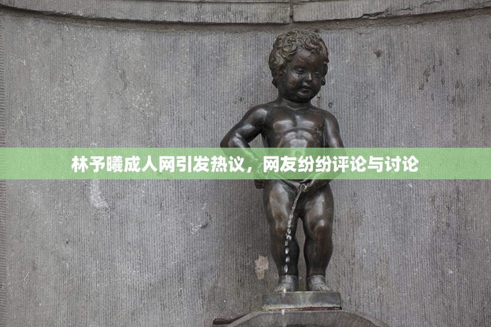 林予曦成人网引发热议，网友纷纷评论与讨论