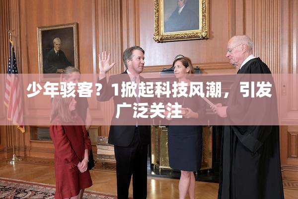 少年骇客？1掀起科技风潮，引发广泛关注