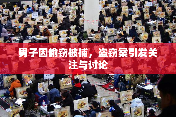 男子因偷窃被捕，盗窃案引发关注与讨论
