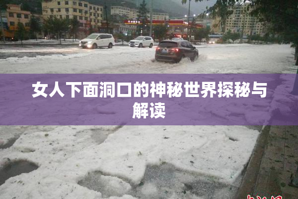 女人下面洞口的神秘世界探秘与解读