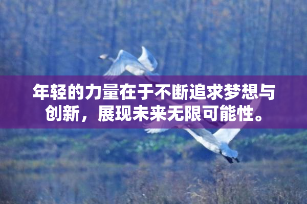 年轻的力量在于不断追求梦想与创新，展现未来无限可能性。