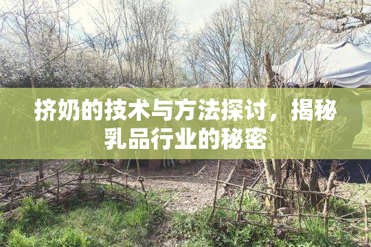 挤奶的技术与方法探讨，揭秘乳品行业的秘密