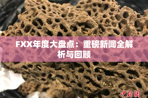 FXX年度大盘点：重磅新闻全解析与回顾