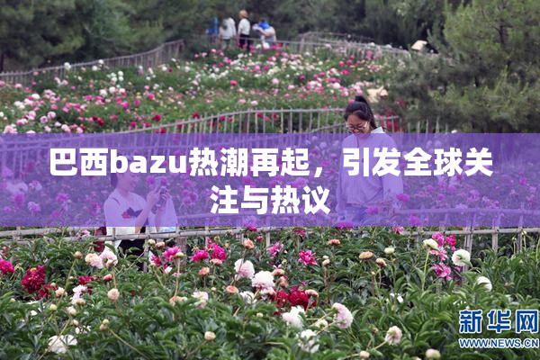 巴西bazu热潮再起，引发全球关注与热议