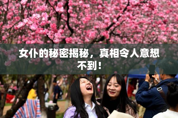 女仆的秘密揭秘，真相令人意想不到！