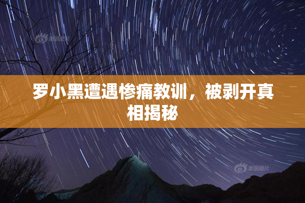罗小黑遭遇惨痛教训，被剥开真相揭秘