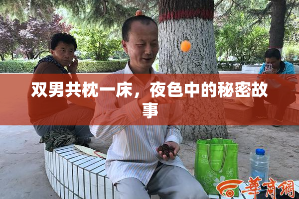 双男共枕一床，夜色中的秘密故事