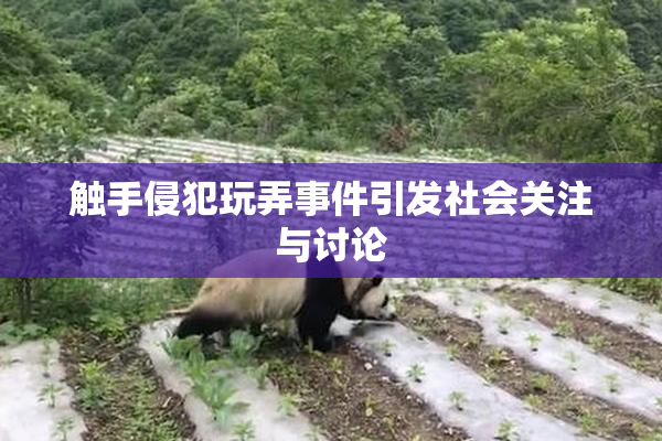 触手侵犯玩弄事件引发社会关注与讨论