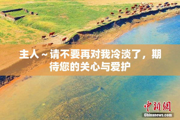 主人～请不要再对我冷淡了，期待您的关心与爱护
