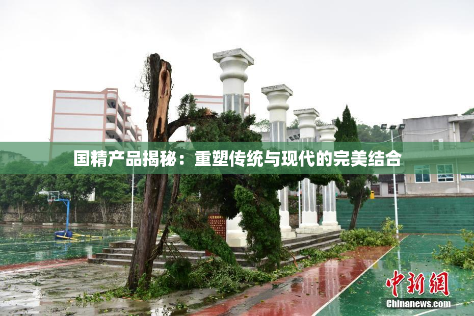 国精产品揭秘：重塑传统与现代的完美结合