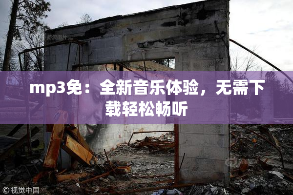 mp3免：全新音乐体验，无需下载轻松畅听