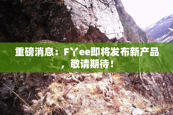 重磅消息：F丫ee即将发布新产品，敬请期待！