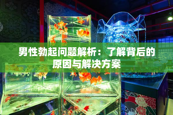 男性勃起问题解析：了解背后的原因与解决方案