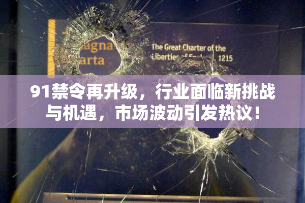 91禁令再升级，行业面临新挑战与机遇，市场波动引发热议！