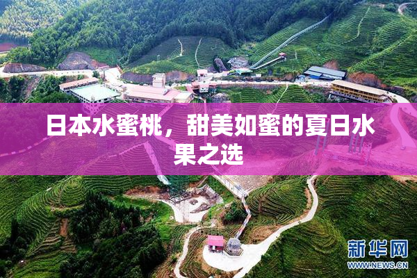 日本水蜜桃，甜美如蜜的夏日水果之选