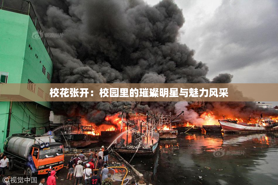 校花张开：校园里的璀璨明星与魅力风采