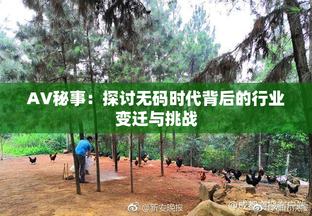 AV秘事：探讨无码时代背后的行业变迁与挑战