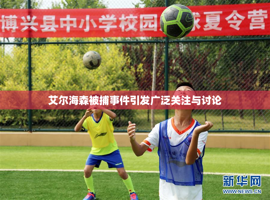 艾尔海森被捕事件引发广泛关注与讨论