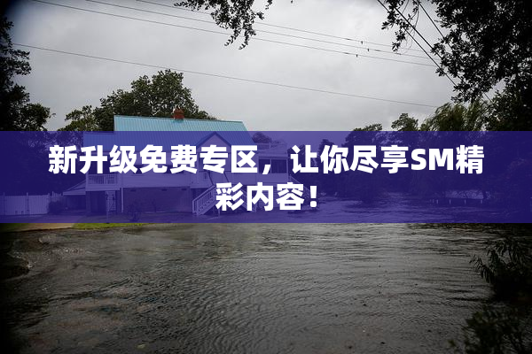 新升级免费专区，让你尽享SM精彩内容！