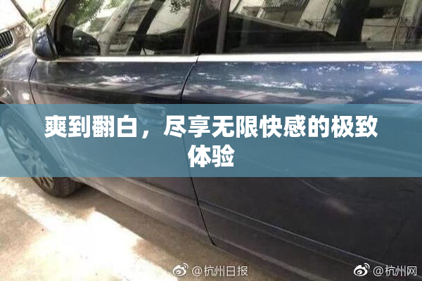 爽到翻白，尽享无限快感的极致体验