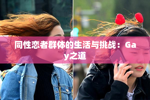 同性恋者群体的生活与挑战：Gay之道