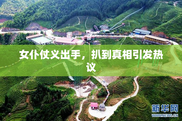 女仆仗义出手，扒到真相引发热议