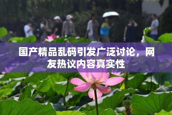 国产精品乱码引发广泛讨论，网友热议内容真实性