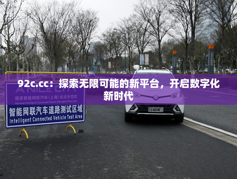92c.cc：探索无限可能的新平台，开启数字化新时代