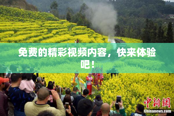 免费的精彩视频内容，快来体验吧！