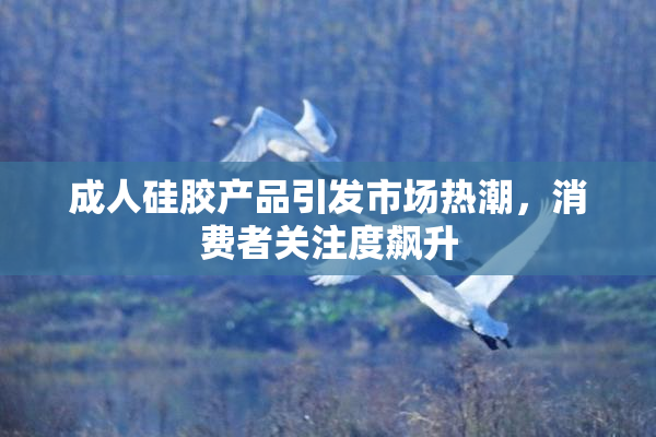 成人硅胶产品引发市场热潮，消费者关注度飙升