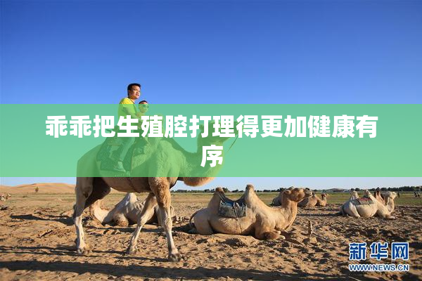 乖乖把生殖腔打理得更加健康有序