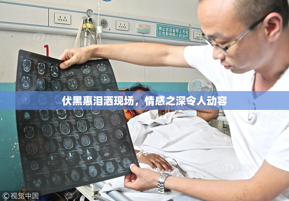 伏黑惠泪洒现场，情感之深令人动容