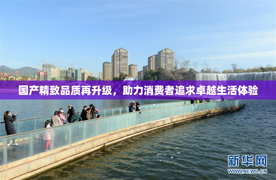 国产精致品质再升级，助力消费者追求卓越生活体验