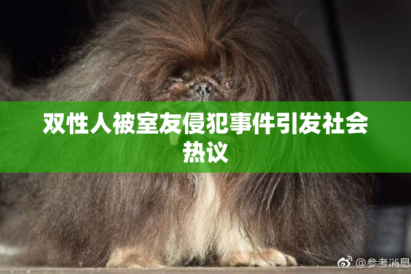 双性人被室友侵犯事件引发社会热议