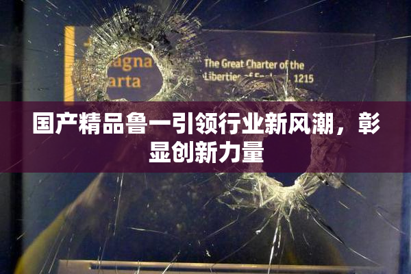 国产精品鲁一引领行业新风潮，彰显创新力量