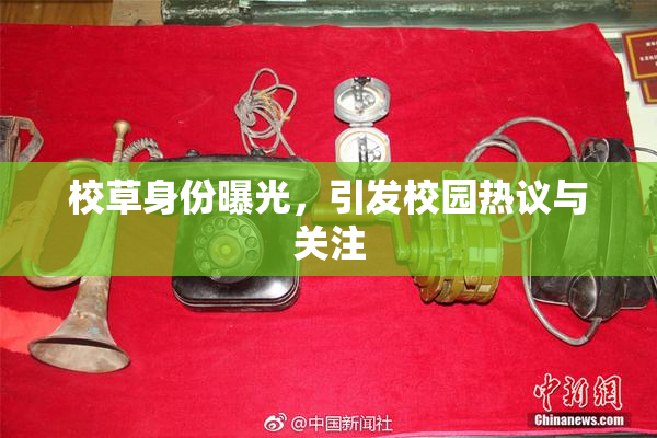 校草身份曝光，引发校园热议与关注