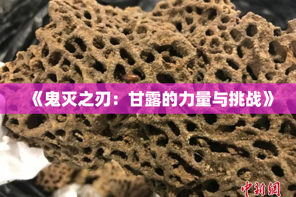 《鬼灭之刃：甘露的力量与挑战》