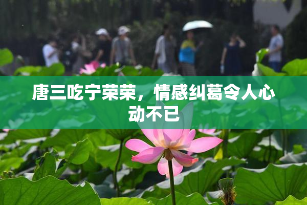 唐三吃宁荣荣，情感纠葛令人心动不已