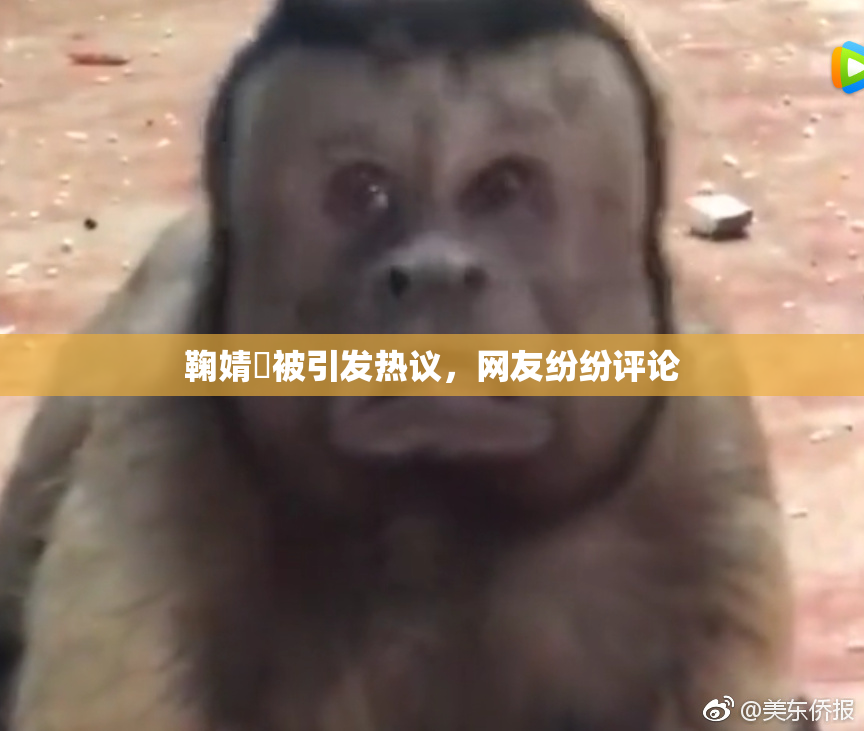 鞠婧祎被引发热议，网友纷纷评论
