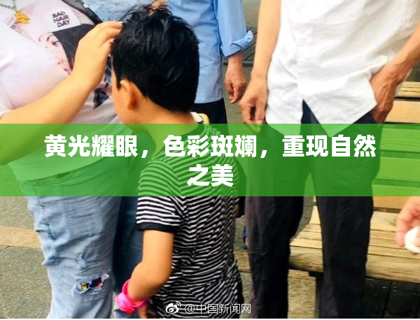黄光耀眼，色彩斑斓，重现自然之美