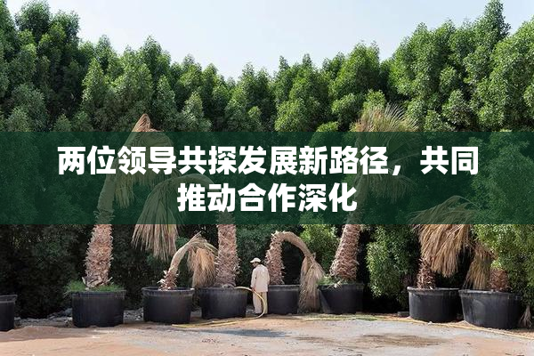两位领导共探发展新路径，共同推动合作深化