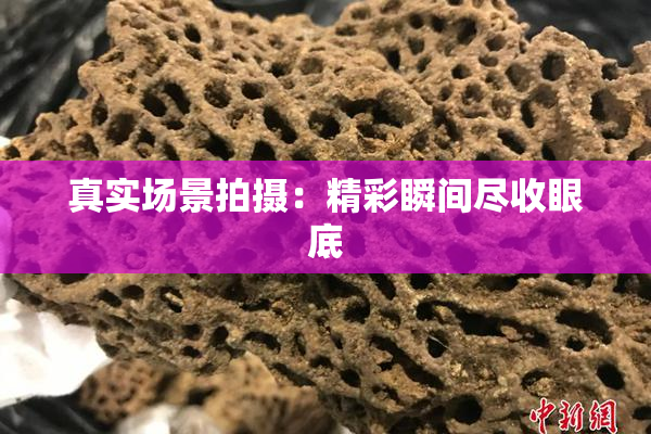 真实场景拍摄：精彩瞬间尽收眼底