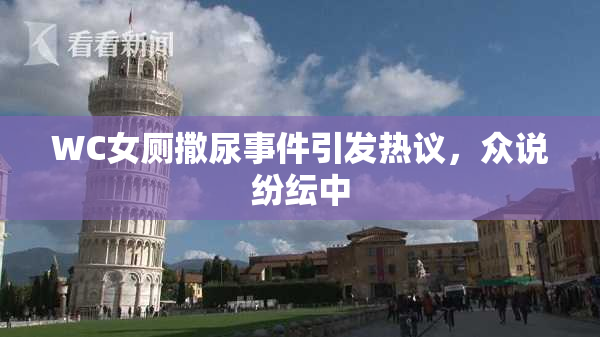 WC女厕撒尿事件引发热议，众说纷纭中