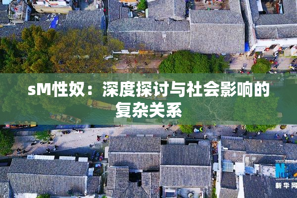 sM性奴：深度探讨与社会影响的复杂关系