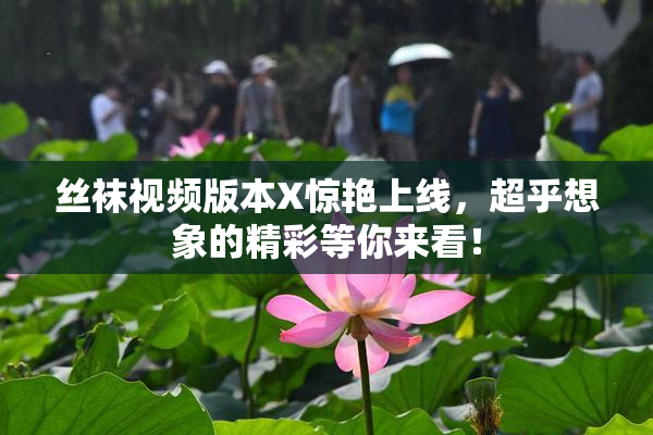 丝袜视频版本X惊艳上线，超乎想象的精彩等你来看！