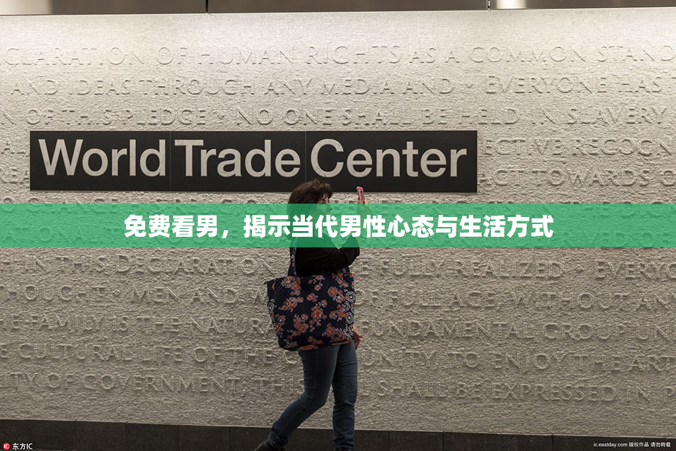 免费看男，揭示当代男性心态与生活方式