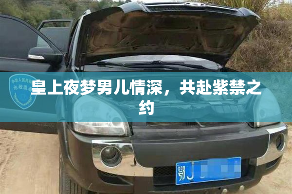 皇上夜梦男儿情深，共赴紫禁之约