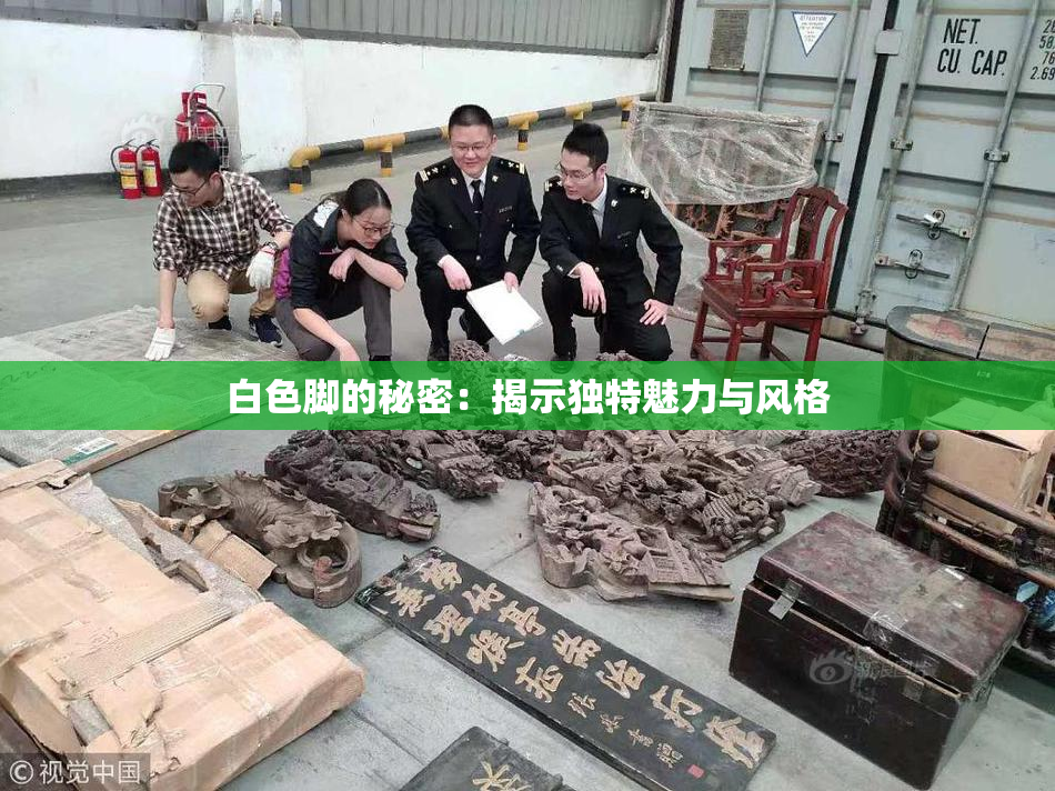 白色脚的秘密：揭示独特魅力与风格