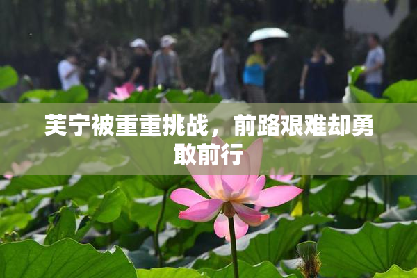 芙宁被重重挑战，前路艰难却勇敢前行